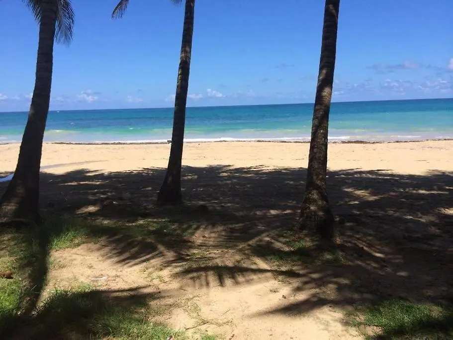 شقة Ocean View 1 Bedroom Cabana In Condado! سان خوان